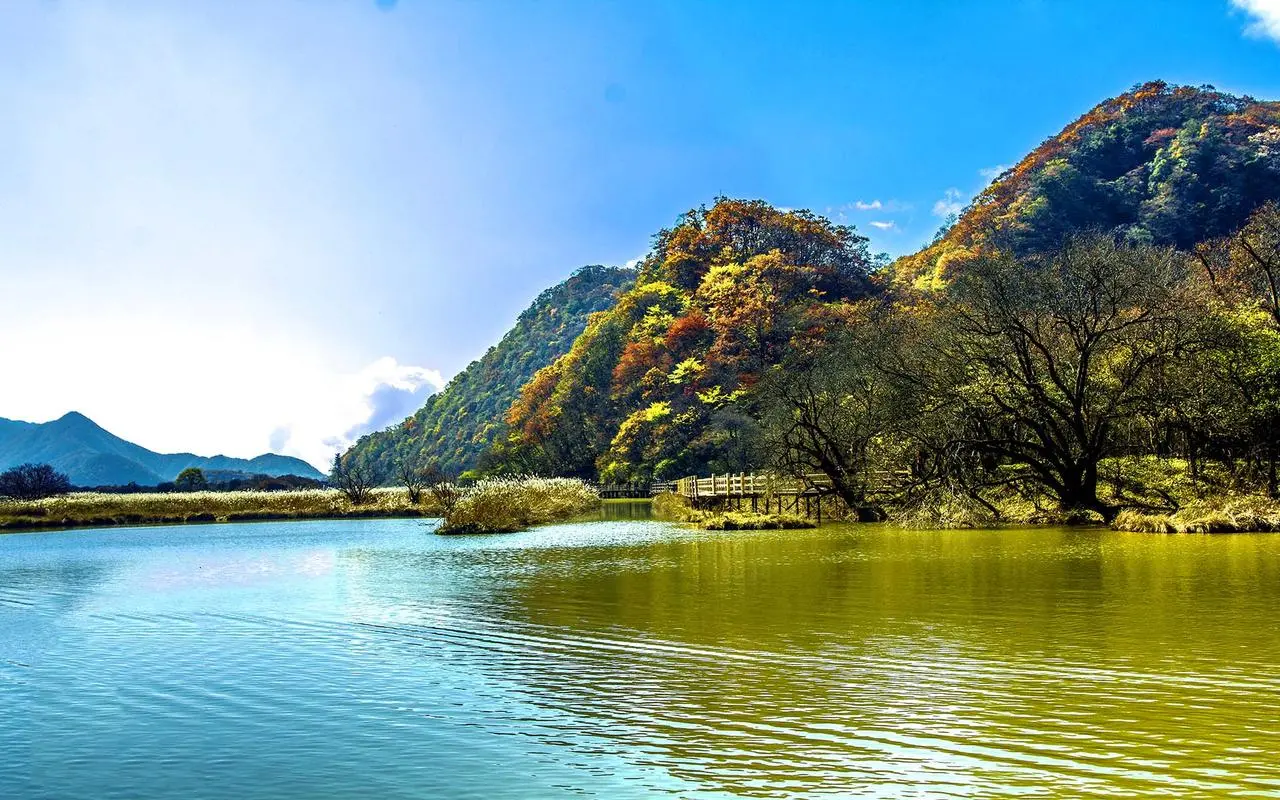 高精度电子智能化
